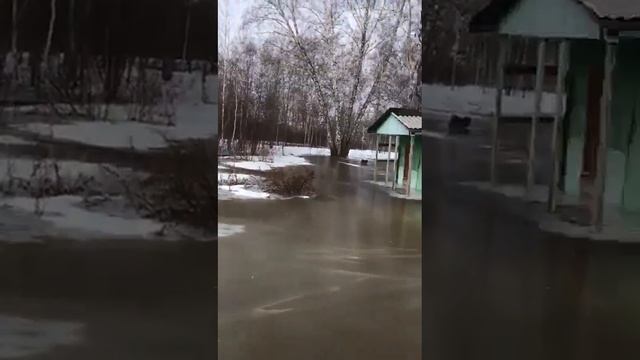 Ржу,немогу))).Затопило всё,что можно))).Весенние-талые воды.ПохожеЗаМестоДомика,там надоОзероКопать смотреть онлайн