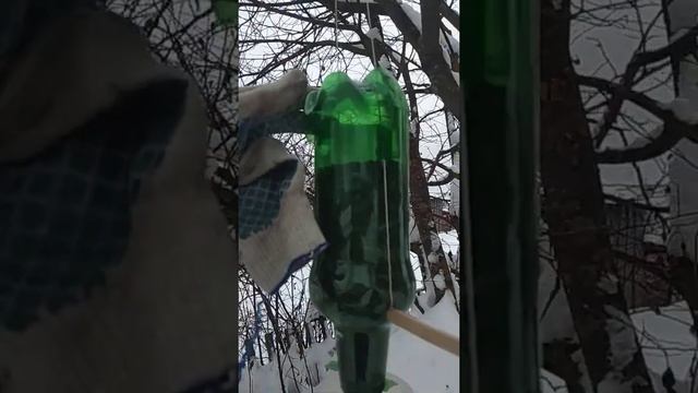 кормушка для синиц смотреть онлайн