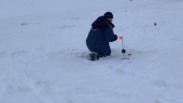 NFISHER 25.02.23 смотреть онлайн