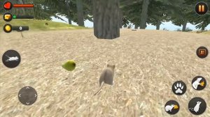 СИМУЛЯТОР Жизни МЫШИ #1 Дом и лес. Новый сим с маленьким мышонком на пурумчата