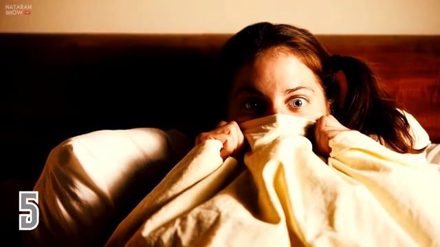 ЖИВОТНЫЕ КОТОРЫЕ СПАСЛИ ЖИЗНЬ.Часть 2 смотреть онлайн