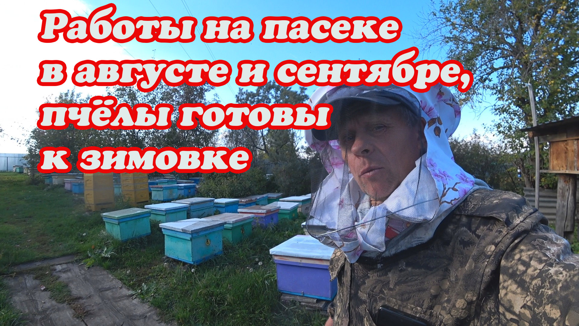 КАКИЕ РАБОТЫ СДЕЛАННЫЕ В СЕНТЯБРЕ С ПЧЁЛАМИ, СЕМЬИ ГОТОВЛЮ К ЗИМОВКЕ. смотреть онлайн