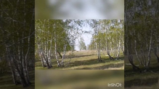 границы лицензионного участка в нескольких метрах от жилых домов с Ишмурзино Баймакский рн смотреть онлайн