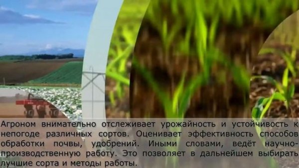 Агрономия  Профессия Агроном