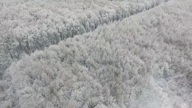 Как все начиналось... Лагри Парк год назад смотреть онлайн