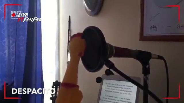 Курица поет despasito смотреть онлайн