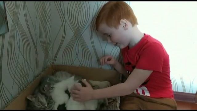 Моя семья моё богатство 4 1 смотреть онлайн