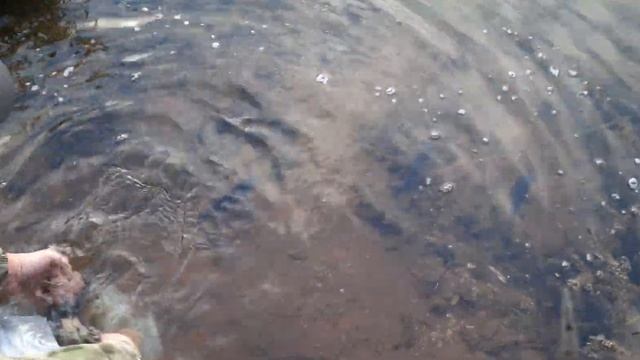 Зарыбление водоема деревня Люкшудья Завьяловского района Удмуртия. смотреть онлайн