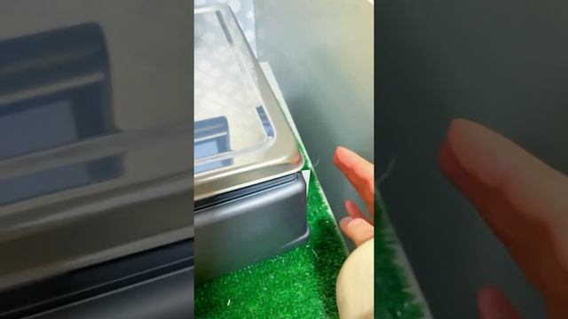 #Лайфхак как купить больше чупа чупсов как сэкономить? #советы #совет #лайфхаки #карамель смотреть онлайн