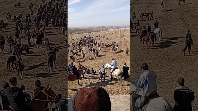 дунг кишлок яккабог Абдулло бувани наберасини суннат туйи ведио 2 #яккабог #дунгкишлок смотреть онлайн