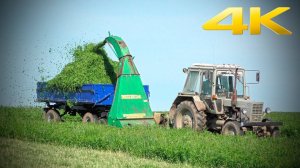 Старый трактор МТЗ-80 с косилкой КИР-1,5М - заготовка подкормки для фермы