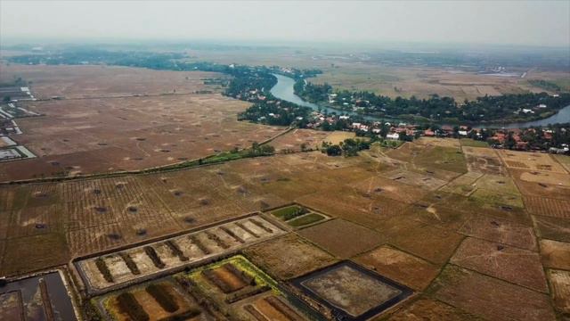 Жуткие истории про оборотней смотреть онлайн