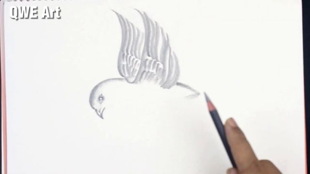 Pencil sketch bird drawing ? смотреть онлайн