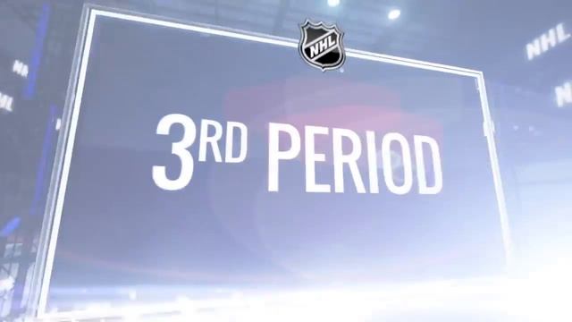 Williams, Niskanen lead Caps to 5-0 win over Flyers[Mark Schwarzer] смотреть онлайн