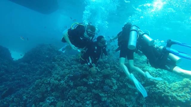 Египет Морская прогулка, Дайвинг. Красное море , Хургада.