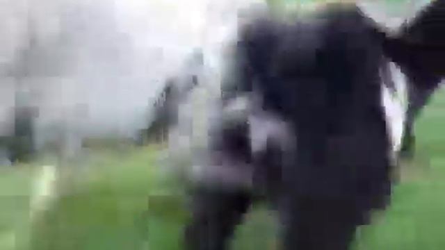 Динь динь динь,колокольчик звенит смотреть онлайн