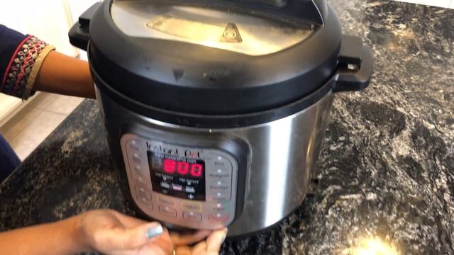 Instant Pot Yogurt Starter and Yogurt | Dahi | Perugu | Curd | How to make yogurt without starter смотреть онлайн