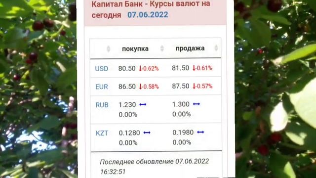 Валюта курс. Ош Кыргызстан. 7-июнь 2022г смотреть онлайн