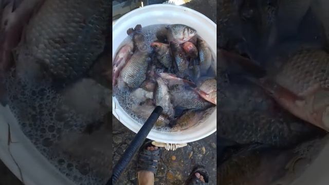 На пенопласт, 25 кг смотреть онлайн