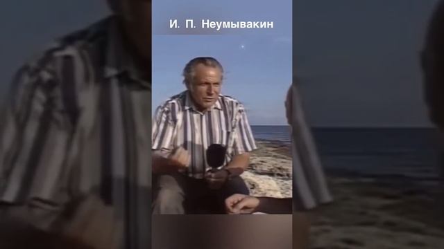 ПРО БЕЛКИ ПРОФЕССОР НЕУМЫВАКИН смотреть онлайн