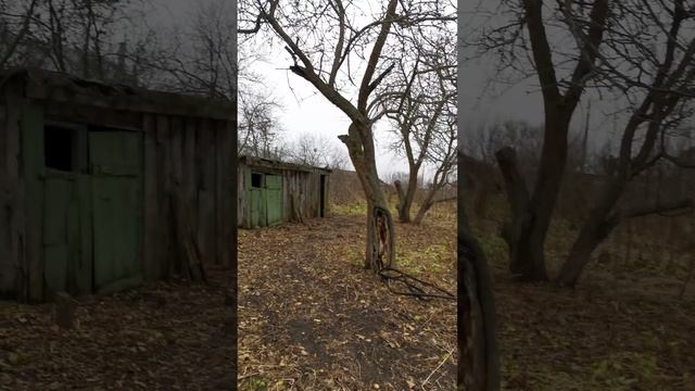 Заброшенный сад. смотреть онлайн