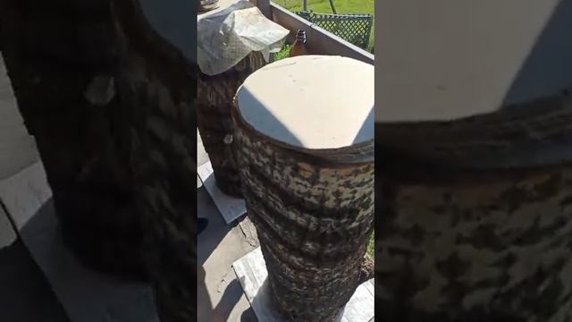 Месяц после заселения смотреть онлайн
