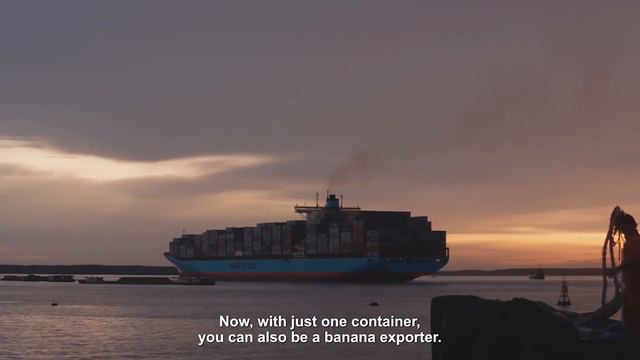 A banana’s journey across the Pacific | Maersk Line смотреть онлайн