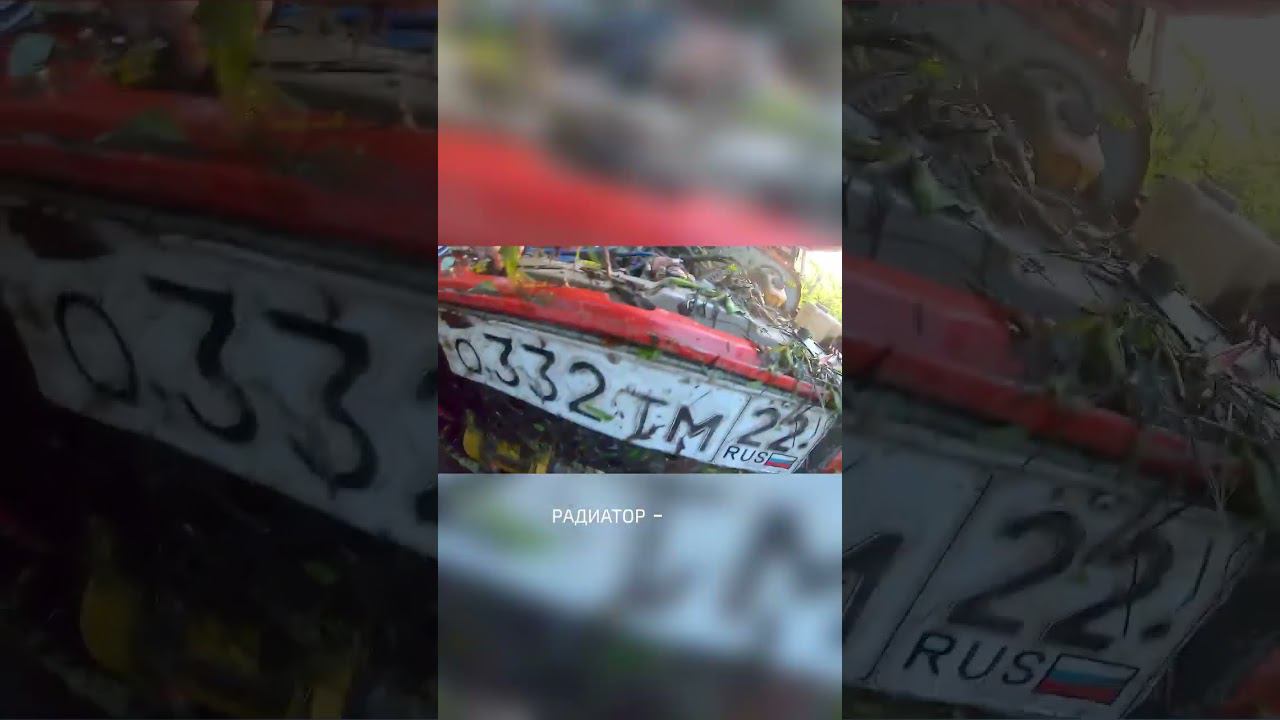 Достали утопленника смотреть онлайн