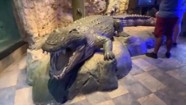 DUBAI AQUARIUM AND UNDERWATER ZOO 2021 смотреть онлайн