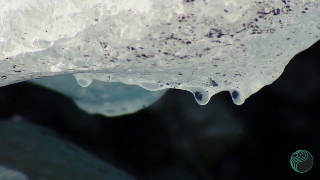PERL CO2 Exp 10: Meet the Climate Change Deniers – pushing humanity to the brink one moron at a tim смотреть онлайн