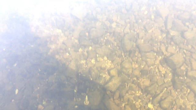 Река Амга. Якутия. Amga River. Амма смотреть онлайн