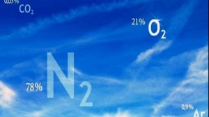 Круговорот азота и углерода в природе.