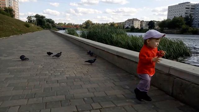 06-08-2019 - Река Ока. Утки. смотреть онлайн