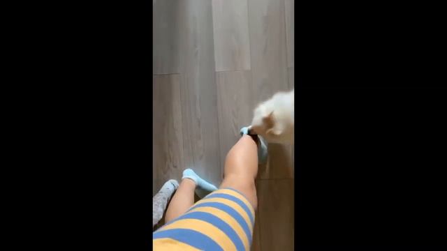 Агата Муцениеце бегает за дочерью, чтобы ее причесать смотреть онлайн