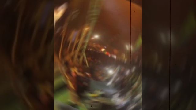 ¿Por qué ya nunca volvimos a ver al cantante "Nigga"? смотреть онлайн