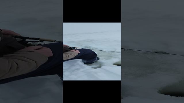 замняя рыбалка 5