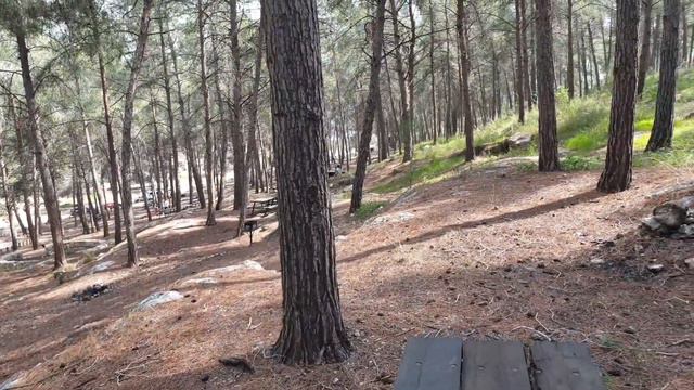 Я живу в Израиле/אני גרה בישראל/Лес. Где отдохнуть? תל צרעה смотреть онлайн