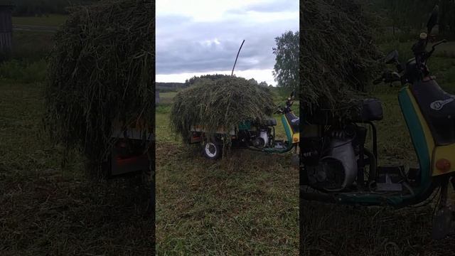 Мотороллер Муравей смотреть онлайн