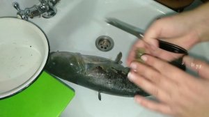 Как разделать сома и удалить с него слизь!!