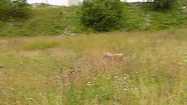 Живанши Мсье дэ Ль*Эффект "Жан" - 1 год, 1 мес. смотреть онлайн