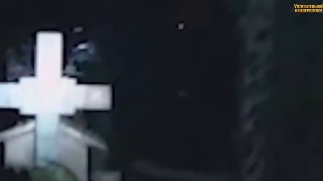 Топ Невероятных существ снятых на видеокамеру !! смотреть онлайн