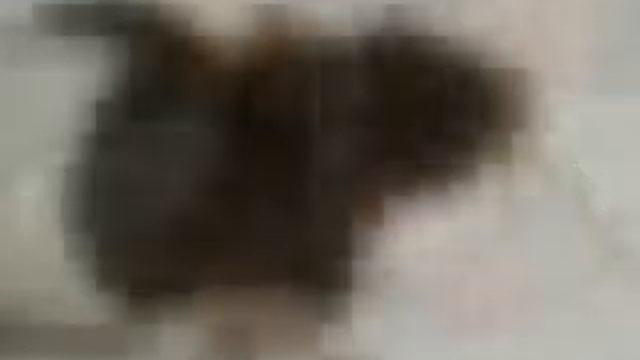 Мои крысы смотреть онлайн