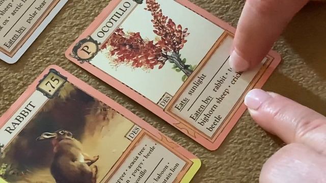 Ecosystems Game смотреть онлайн