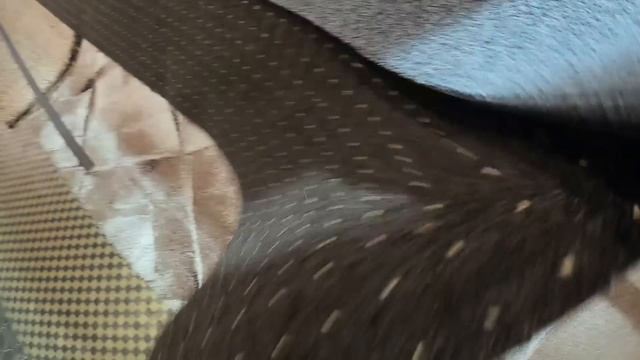 ЖИВУ ОДНА В ДЕРЕВНЕ/ ЕДУ В САРАТУ/ ОБЗОР ПОКУПОК/ ЖИЗНЬ В ДЕРЕВНЕ смотреть онлайн