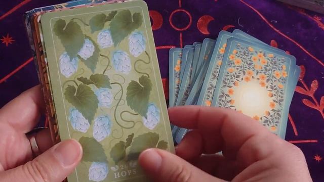 The Seed and Sickle Oracle, doux et poétique + TIRAGE (review, video) смотреть онлайн