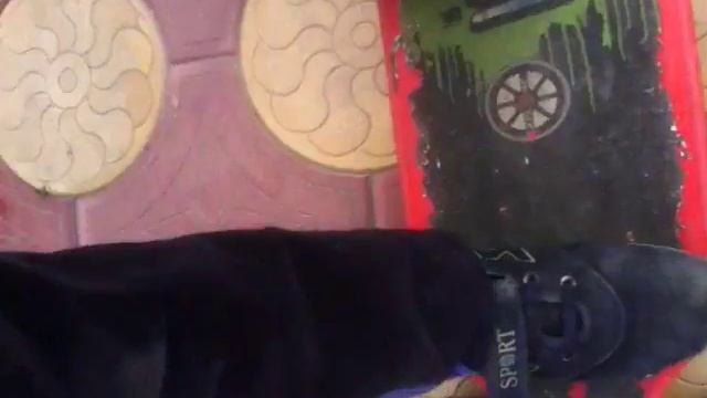 Обзор лонгборда.как ехать,держать баланс.что лучше лонгборд скейтборд или круизер смотреть онлайн