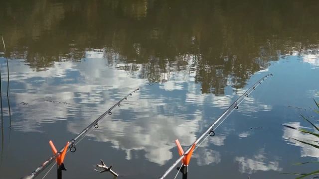 Флэт фидер на Днестре: осенний сазан. смотреть онлайн