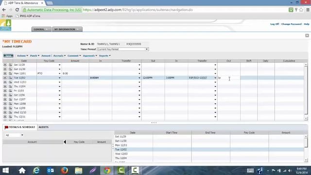PMG Hourly Login and Time Entry - JAVA смотреть онлайн