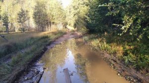 Путешествие на мотоцикле с коляской по Тверской области день 4