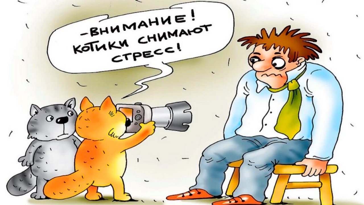 Лучшая Борьба со СТРЕССОМ по Мнению Психологии смотреть онлайн